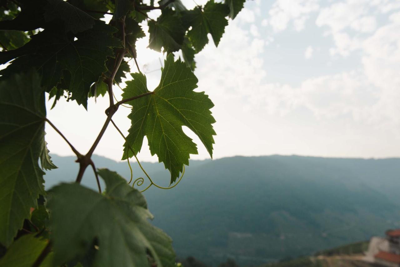 Villa Apedeceo Belesar Villa, Ribeira Sacra, Galicia Chantada