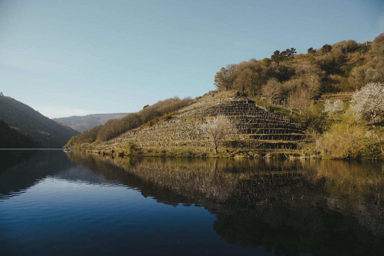 Apedeceo Belesar Villa, Ribeira Sacra, Galicia * Chantada